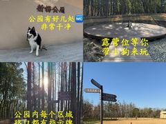 -上海山野camping·户外天幕烧烤·团建拓展营地