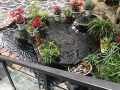 -乡村小榭饭店