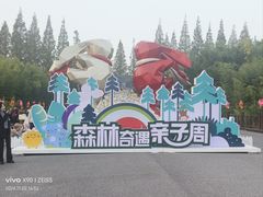 -黄海国家森林公园