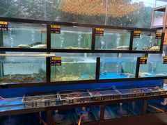 -聚鑫阁江浙菜·非遗传承技艺(闵行交大店)