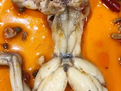 -铭记蛙小仙·活蛙畅享(CBD万达广场店)