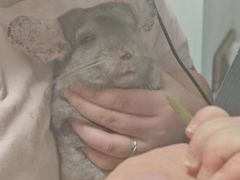 -雨林宠物医院 非犬猫异宠专科