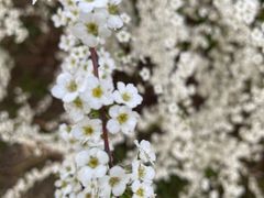 -玄武湖景区-情侣园游乐场