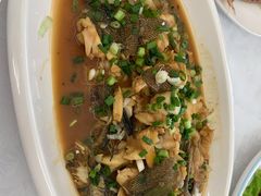 -天天渔港(杏林街店)