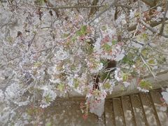 -苏州上方山国家森林公园