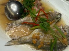 -厝包四点金·潮宴(太古仓店)