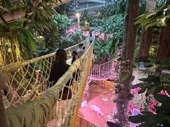 -正佳雨林生态植物园