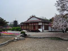 -北京世界公园