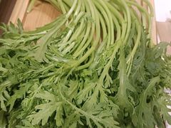 -蝎王府羊蝎子(西直门店)