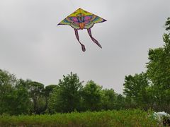 -永定河休闲森林公园