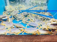-鲜味食族水产·海鲜餐厅
