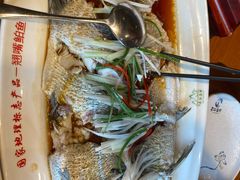 -丹江渔村(望京店)