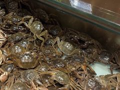 -鼎香缘海鲜自助火锅烤肉(锦辉购物广场店)