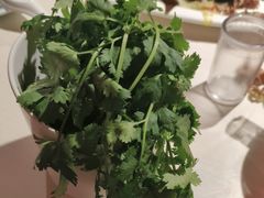 -思阁炭香火锅(学伟鑫城总店)