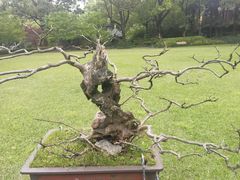 -申粤轩酒楼·三十年粤菜经典(丁香花园店)