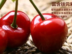 -大自然农场蔬菜草莓采摘园