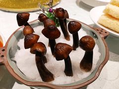 黑鸡枞菌-最品火锅