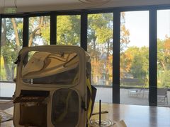 -J Create城市露营咖啡·简餐·宠物(上海动物园店)