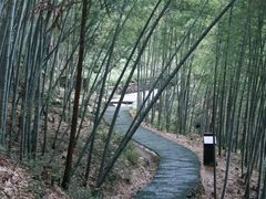 -百杖潭景区
