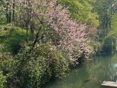 -善卷洞风景区