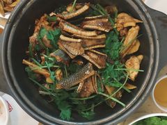 龙凤鸡煲-芳村榕树头叹佬鸡煲(体育西店)