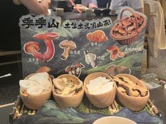 -季季山•云南野生菌火锅(上海首店)