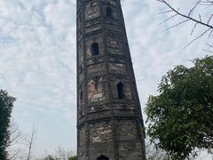 -上海佘山国家森林公园天马山园