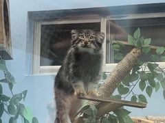 -青藏高原野生动物园