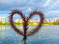 -白塘生态植物园