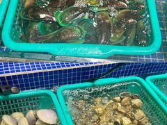 -丰卓会海鲜自助(中润大道店)