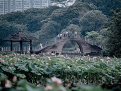 -金山公园