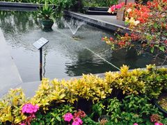 iphone_upload_pic-厦门悦华酒店