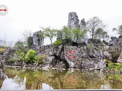-千岛湖石林