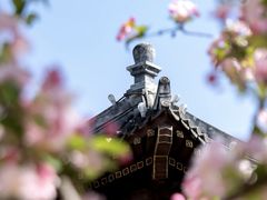 -元大都城垣遗址公园