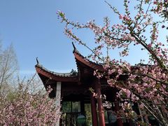 -堤角公园