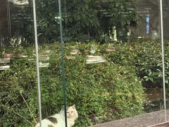 -杭州君悦酒店·湖滨28中餐厅