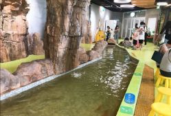-七巧国萌宠乐园(龙湖天街店)