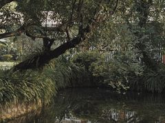-广州兰圃