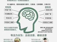 -金色雨林学习力培优(专注力提升)