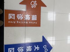 -申普宠物医院·心脏介入·心血管微创(总院)