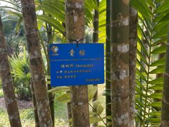 -中国科学院西双版纳热带植物园