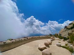 -白草畔自然风景区