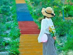 -九龙江国家森林公园