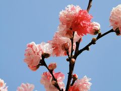 -苏州上方山国家森林公园
