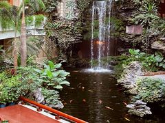 -白天鹅宾馆-宏图府餐厅