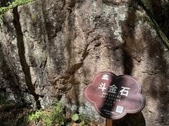 -汤旺河林海奇石景区