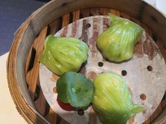 -点都德·毕德寮