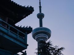 -南京古林公园