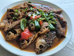 -天乐农家鱼头王(天目湖店)
