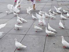 -万达广场(长沙开福店)